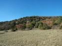 La Combe de Vaux