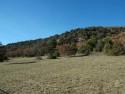 La Combe de Vaux
